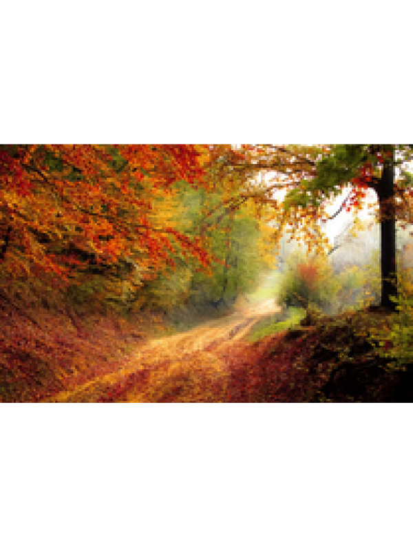 pixabay-1072823_thumb (3)