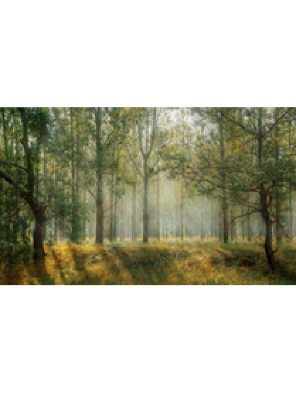 pixabay-1072828_thumb (4)