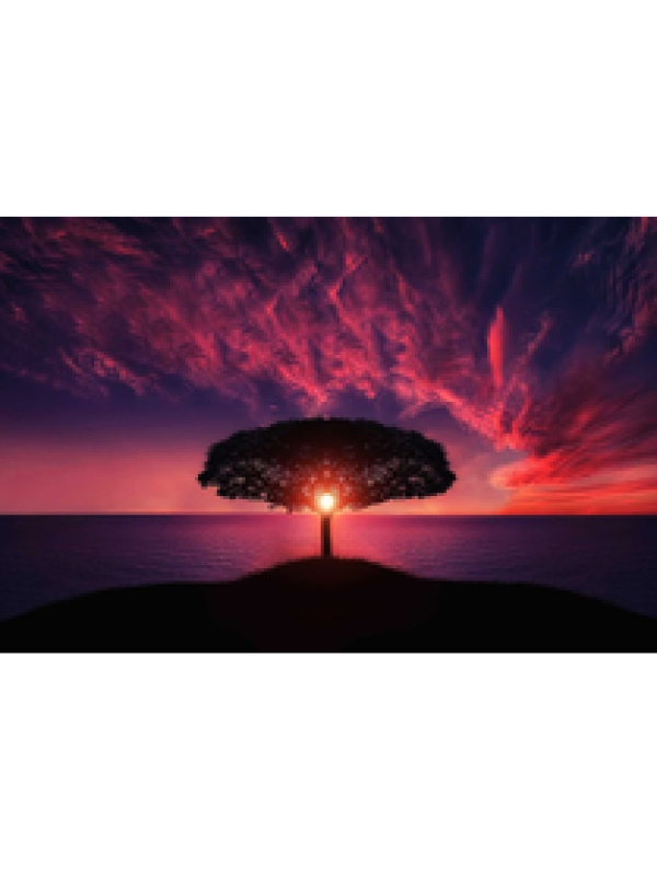 pixabay-736885_thumb (3)